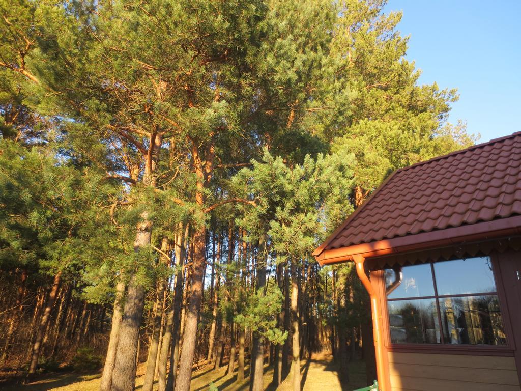 Seasidevilla Karklė Exteriör bild